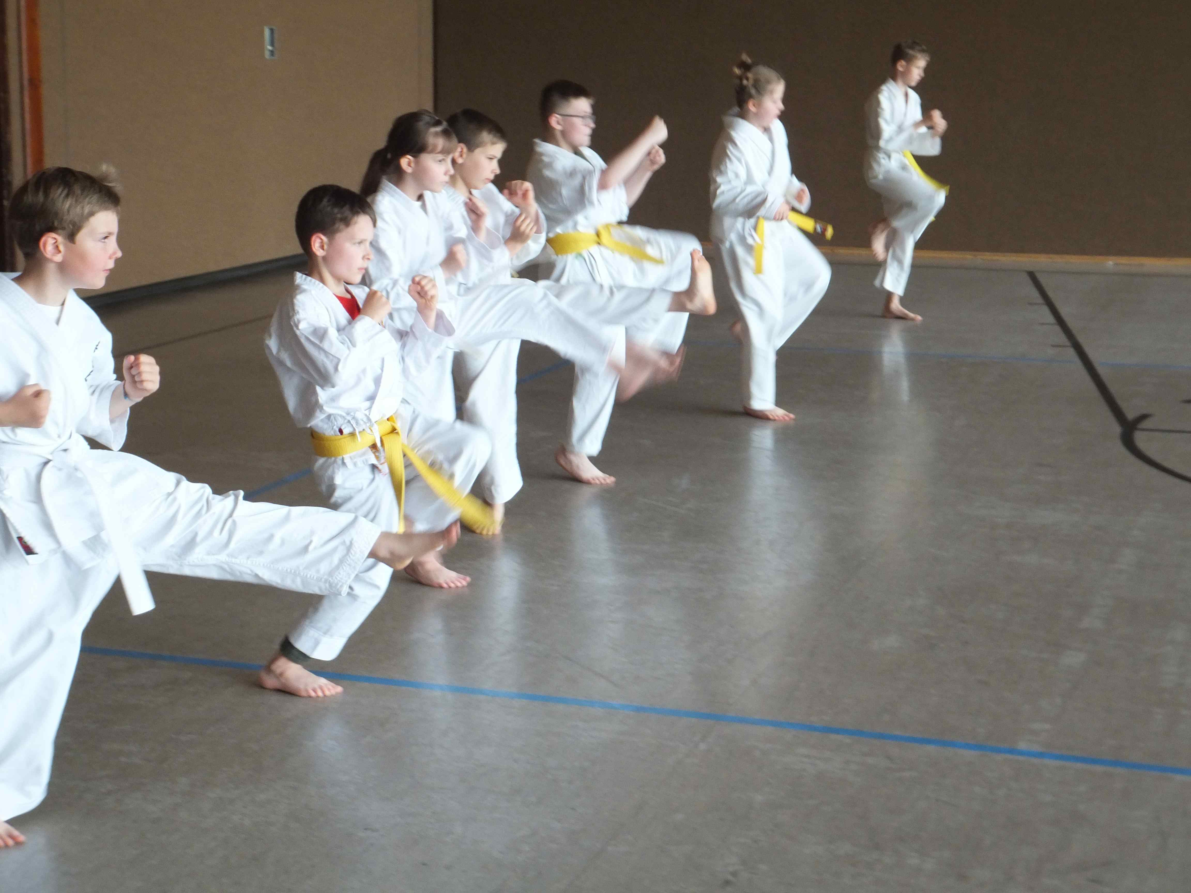 Karate