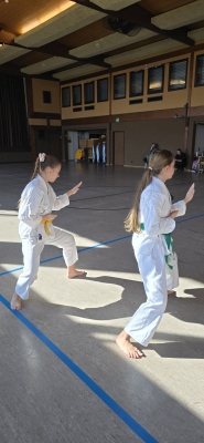 Karate