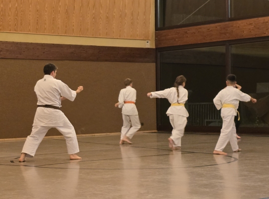 Karate